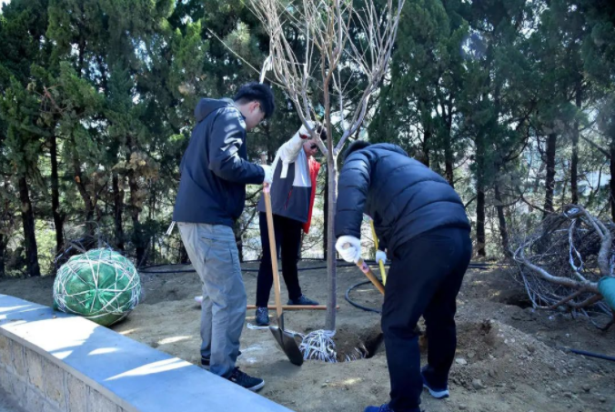 春风十里,植下一片绿 | 瑞源控股集团开展2023年植树节系列活动 春风十里,植下一片绿 | 瑞源控股集团开展2023年植树节系列活动